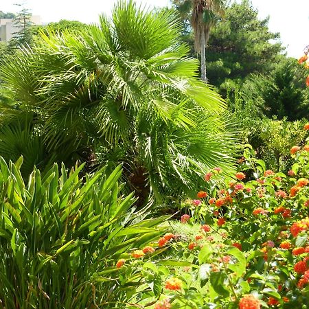 Hotel La Pinede Ajaccio  Eksteriør bilde